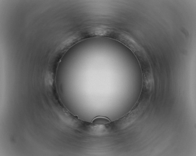 X0000112360374200908131501
