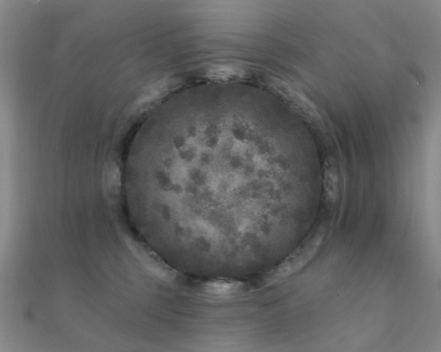 X0000112360375200908131501