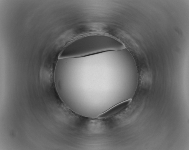 X0000112360376200908131501