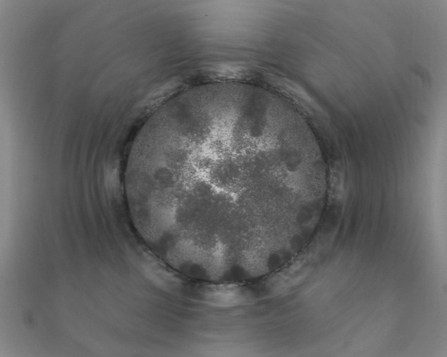X0000112360377200908131501