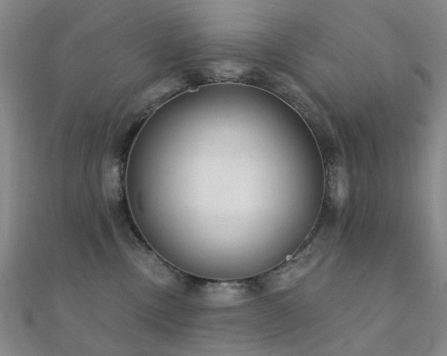 X0000112360378200908131501
