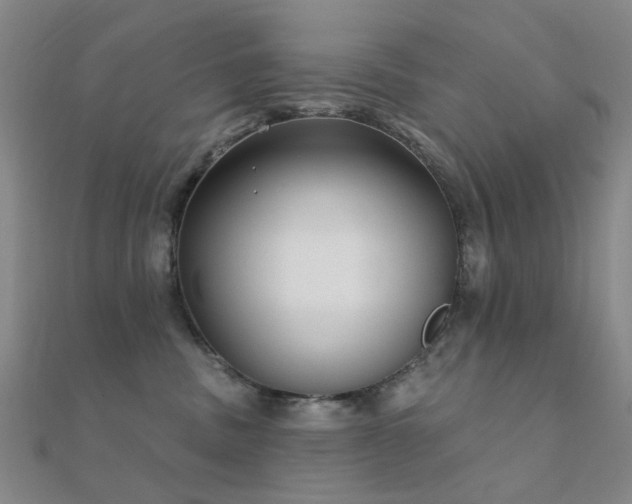 X0000112360379200908131501