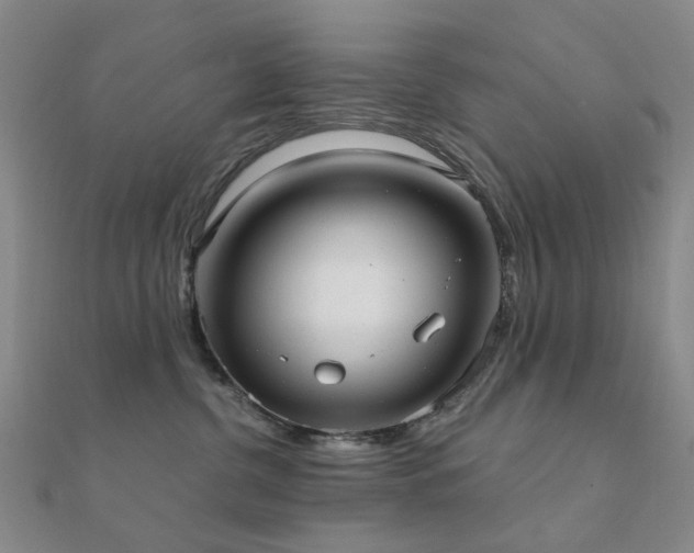X0000112360380200908131501
