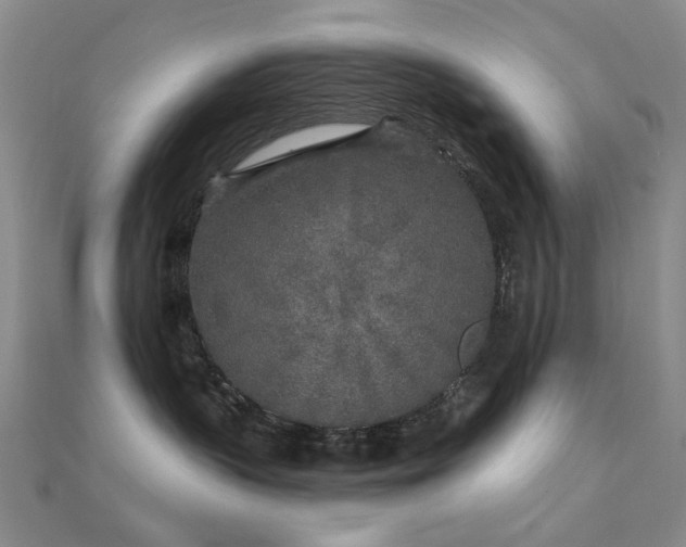 X0000112360383200908131501