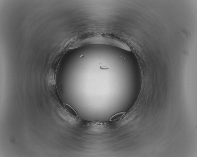 X0000112360384200908131501