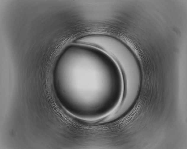 X0000112360385200908131500