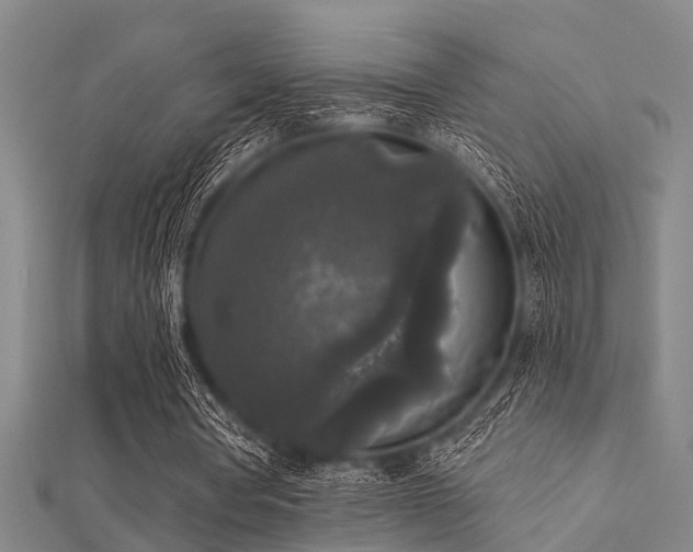 X0000112360386200908131500