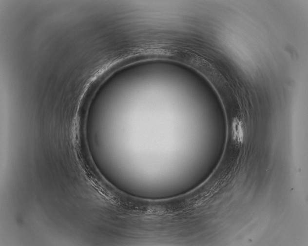 X0000112360388200908131500