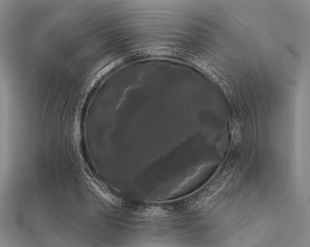 X0000112360390200908131500