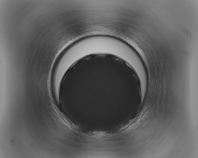 X0000112360391200908131500