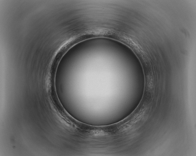 X0000112360392200908131500