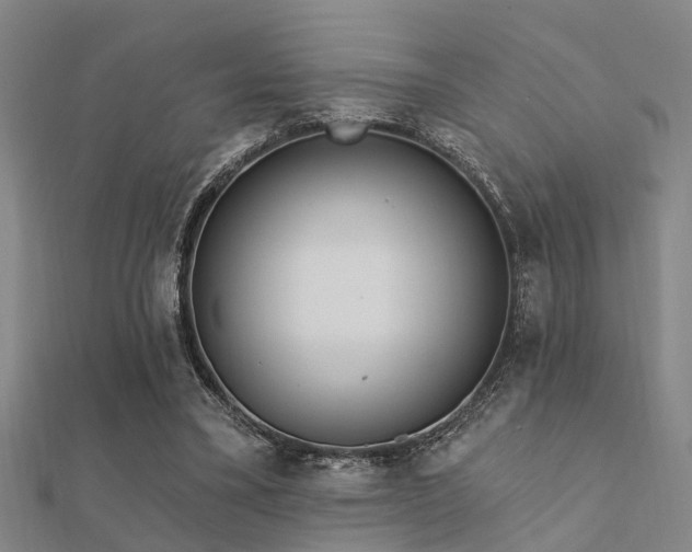 X0000112360395200908131500