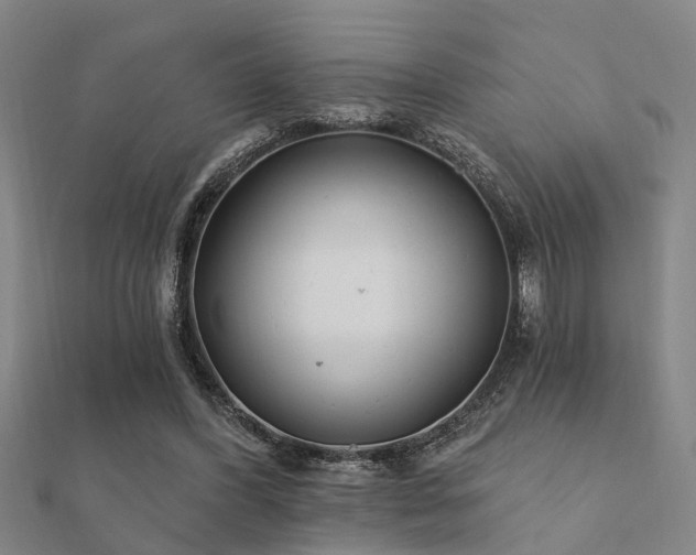 X0000112360396200908131500