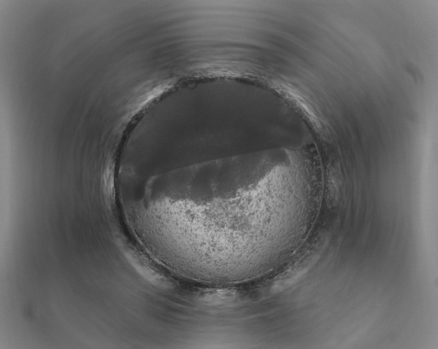 X0000112360398200908131500