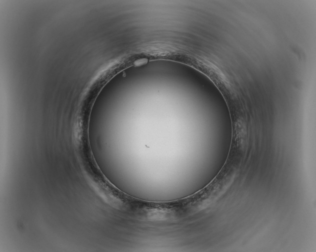 X0000112360400200908131500