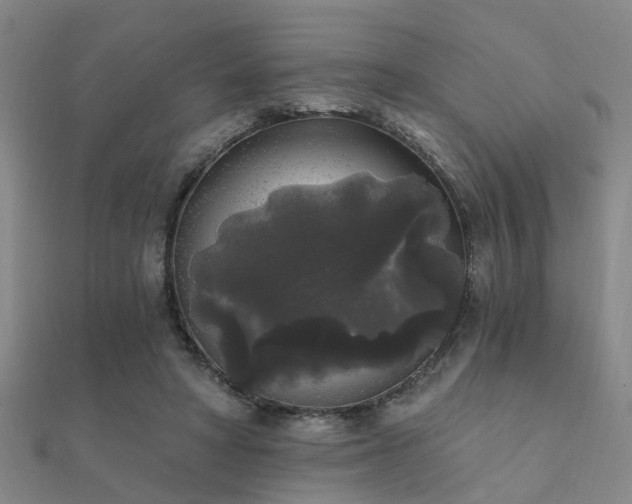 X0000112360402200908131500