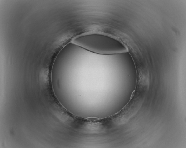 X0000112360403200908131500