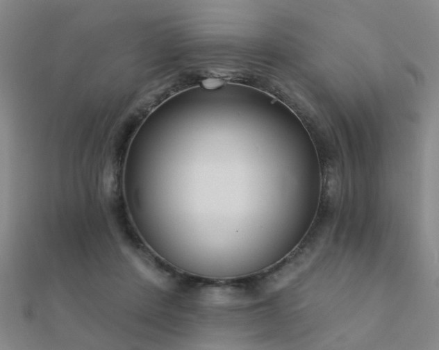X0000112360408200908131500