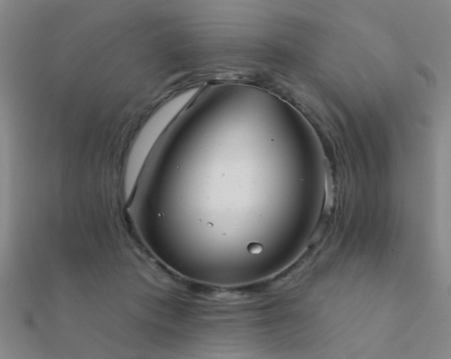 X0000112360413200908131500