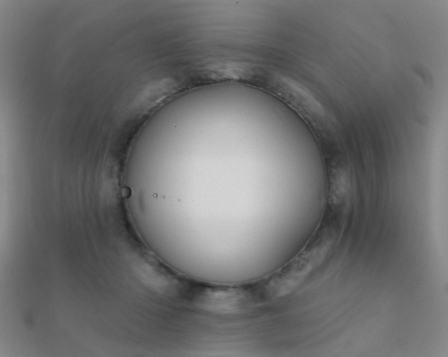 X0000112360414200908131500