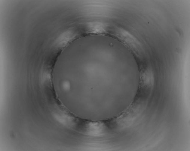 X0000112360415200908131500