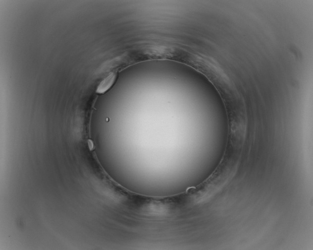 X0000112360416200908131500