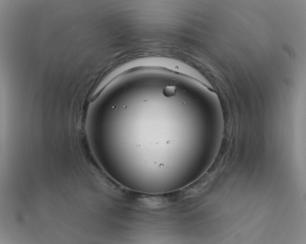 X0000112360417200908131500