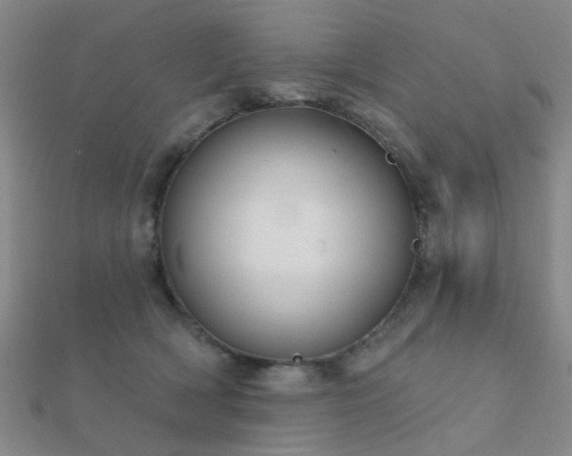 X0000112360418200908131500