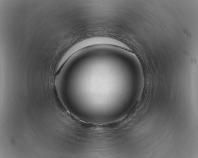 X0000112360419200908131500