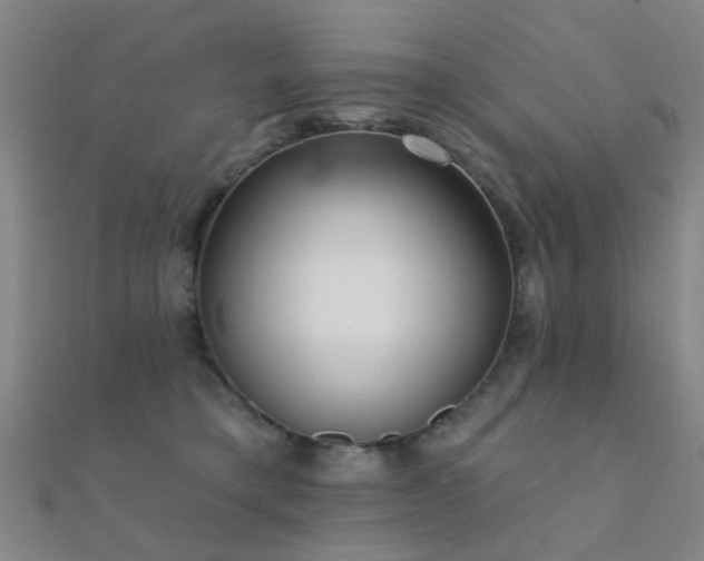 X0000112360421200908131500
