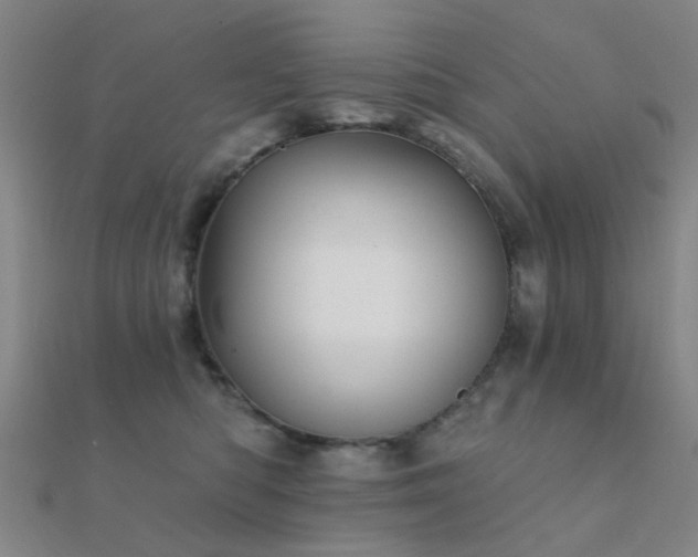 X0000112360422200908131500