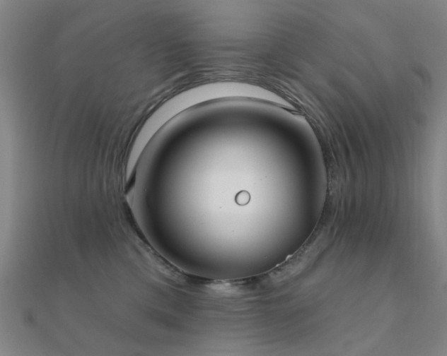 X0000112360425200908131500