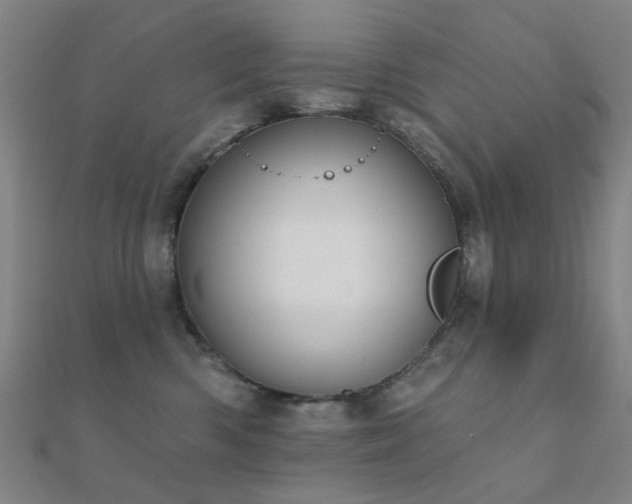 X0000112360426200908131500