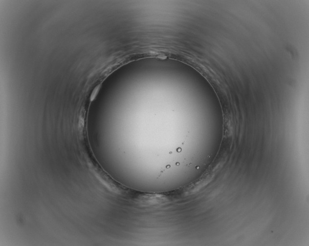 X0000112360427200908131500