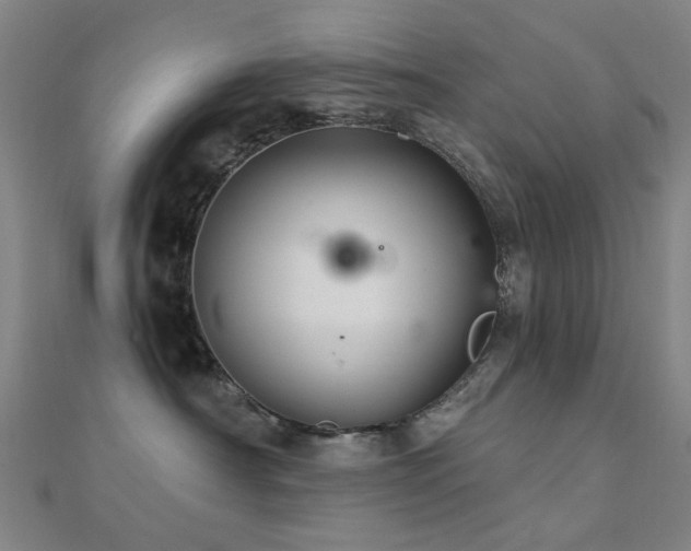 X0000112360430200908131500