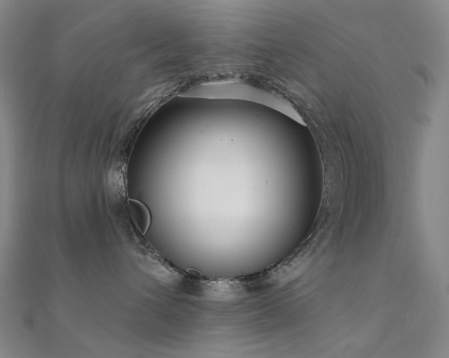 X0000112360432200908131500