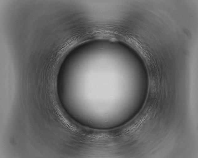 X0000112360433200908131459