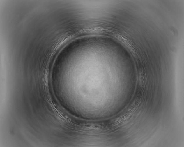 X0000112360434200908131459