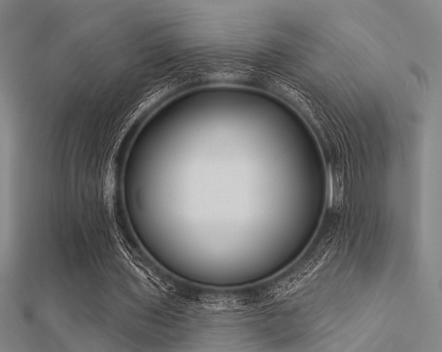 X0000112360435200908131459