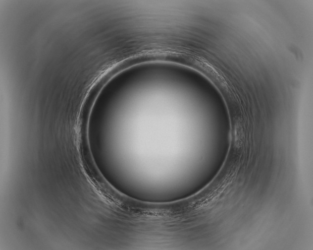 X0000112360436200908131459