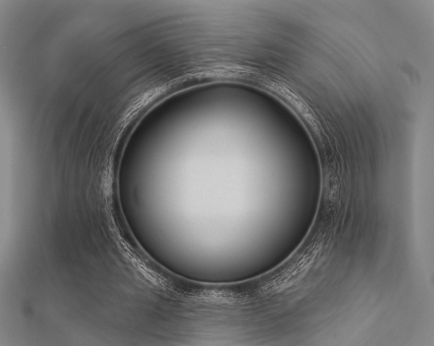 X0000112360437200908131459