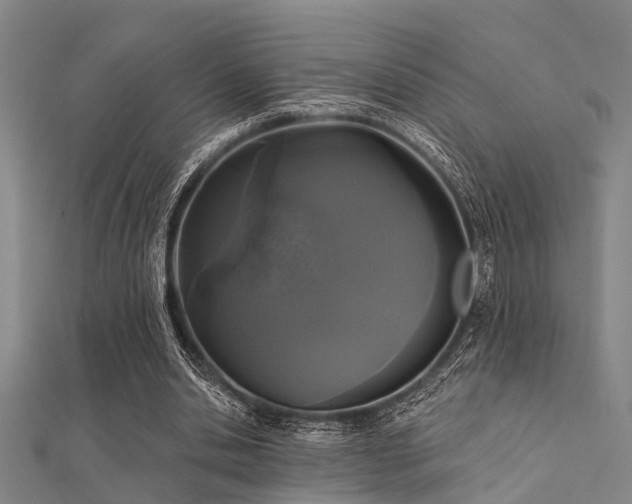 X0000112360438200908131459