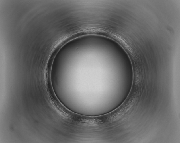 X0000112360439200908131459