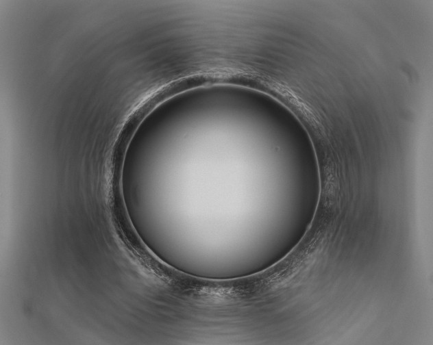 X0000112360440200908131459