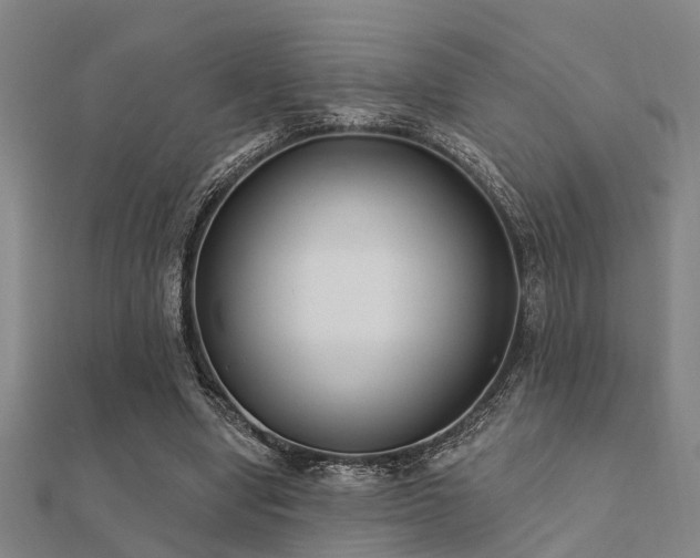 X0000112360442200908131459