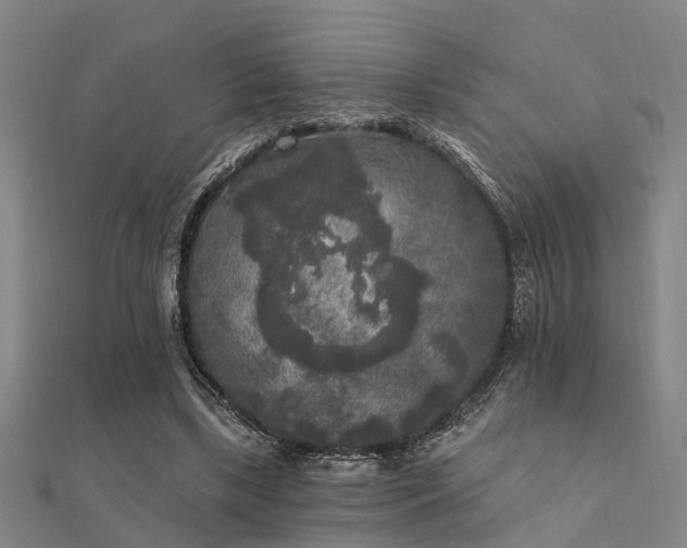 X0000112360443200908131459