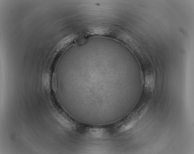 X0000112360444200908131459