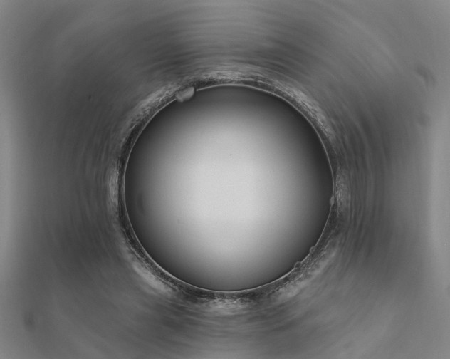 X0000112360445200908131459