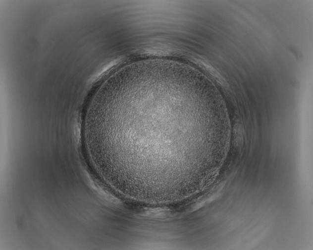 X0000112360446200908131459