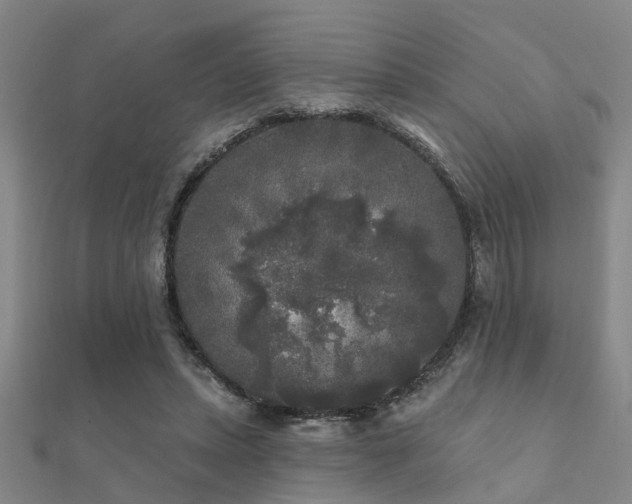 X0000112360447200908131459
